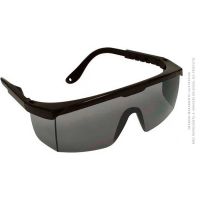 Óculos De Proteção Danny Fênix Fumê| Caixa com 12 Unidades - Cod. 7896353820203C12