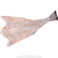 Bacalhau Gadus Morhua 4/7 25kg - Cod. 79000000036481