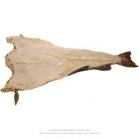 Bacalhau Saithe 10/12 25kg - Cod. 79000000036051