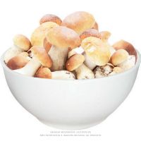 Funghi Italiano Porcini 1kg - Cod. 8005490372905