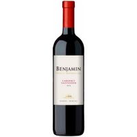Vinho Argentino Benjamin Nieto Cabernet Sauvignon Tinto 750ml - Cod. 7793440702964