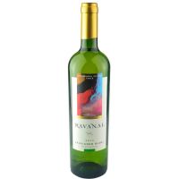 Vinho Chileno Ravanal Sauvignon Blanc 750ml - Cod. 7804374000573