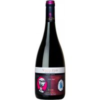 Vinho Chileno Tinajas Viejo Feo Pinot Noir 750ml - Cod. 7808726906629