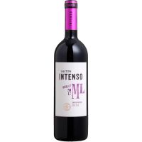 Vinho Nacional Salton Intenso Merlot 750ml - Cod. 7896023010156