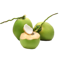 Coco Verde Graúdo em Unidades (aproximadamente 1.8kg) - Cod. 1022577125