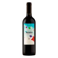 Vinho Chileno Volantin Cabernet Sauvignon Tinto 750ml - Cod. 7808726907046