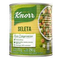 Seleta em Conserva Knorr 170g - Cod. 7891150058910