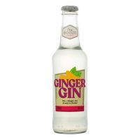 Easy Booze Ginger Gin 200ml - Cod. 7898994823230